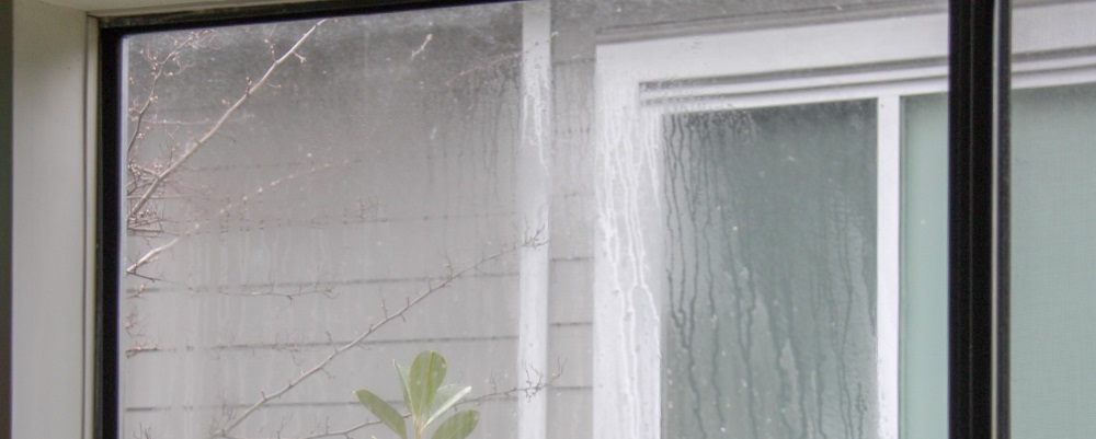 Condensation Between Window Panes